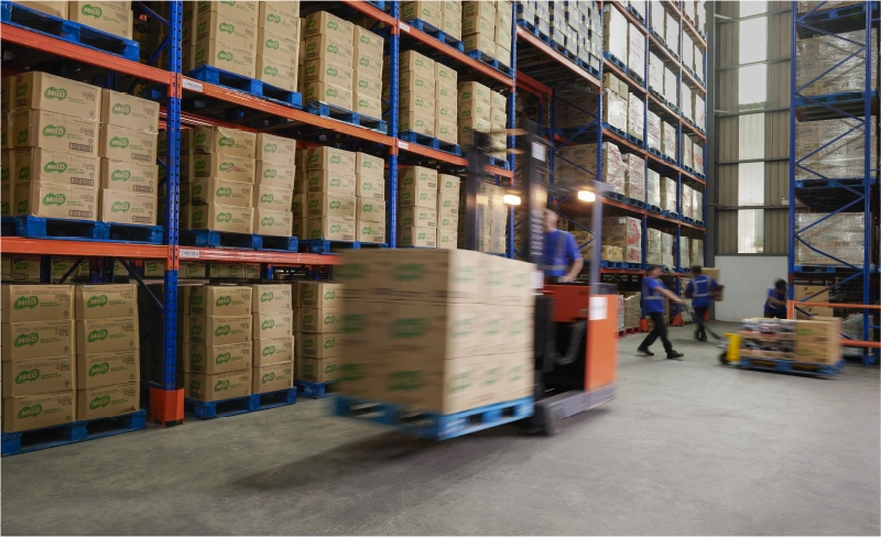 Our Company - Introduction 1